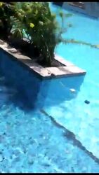 The Stellar (D5), Condominium #504513801